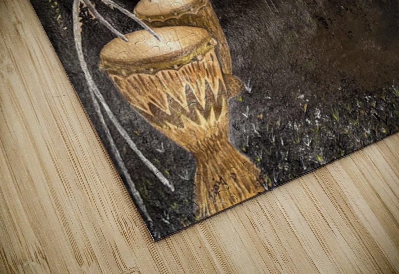 The Meeting Place | | Contemporary African Art | Petey Art